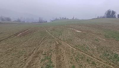 Serpillo (Uci): non abbandonare agricoltura tra grandine e siccità