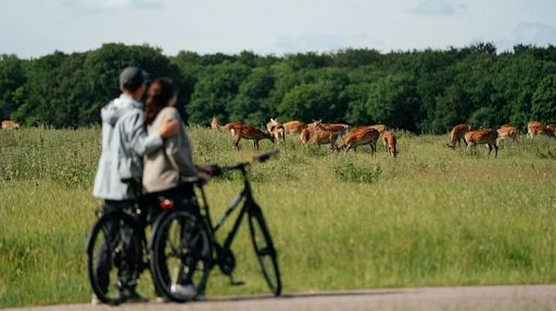 A poche pedalate da Copenaghen arte, natura e castelli lungo la costa