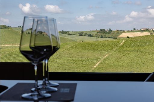 Consorzio Barbera d’Asti: vini del Monferrato protagonisti dell’estate