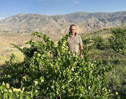 Vino, “Insieme si…sboccia”: enologi e Cantine a confronto a Firenze