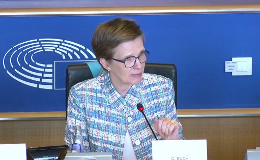 Bce, Buch: Bcc? “Anche le banche piccole possono essere rischiose”