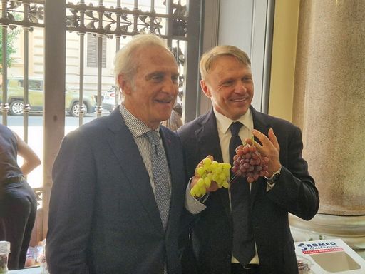 In primi 4 mesi export ortofrutta +7,3% volume e 13,3% valore