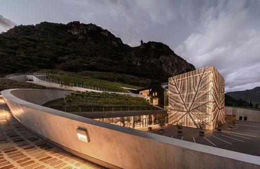 Vino, Cantina Bozen presenta i suoi quattro “Bianchi di Altitudine”