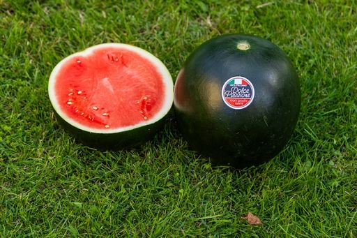 Cocomero buccia nera, campagna inizia con buona resa commerciale