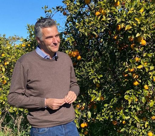 Arancia Sicilia Igp, campagna 2024-25 chiude con oltre 26 mln kg