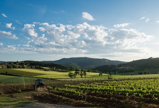 Umbria Top propone per l’estate rosati, Vermouth e cocktail di vino
