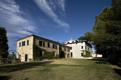 Vino, Antonelli San Marco amplia gamma con 3 nuovi Trebbiano Spoletino