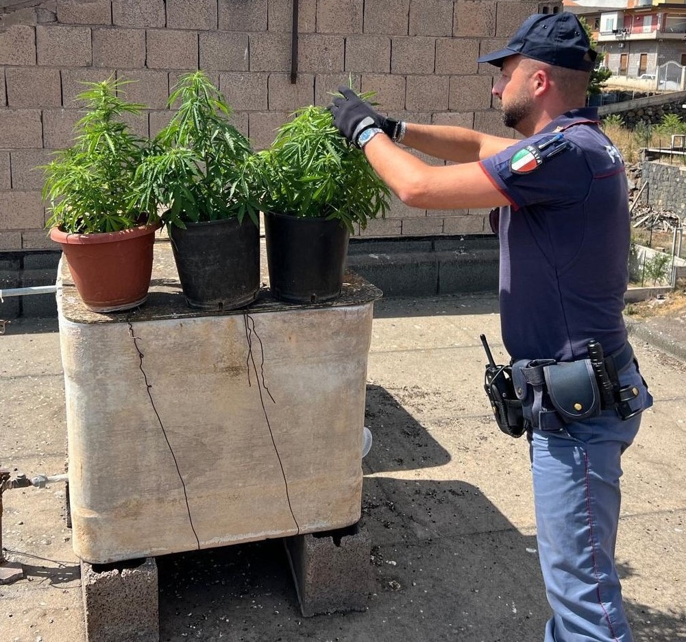 Serra di marijuana sul tetto: 19enne arrestato nel Catanese
