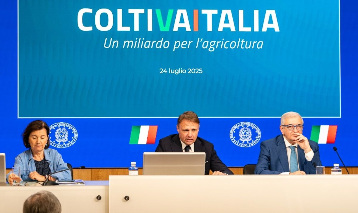 Agricoltura, il Ministero scommette sui giovani: in Sicilia ci sono quasi 3.500 ettari da affidare