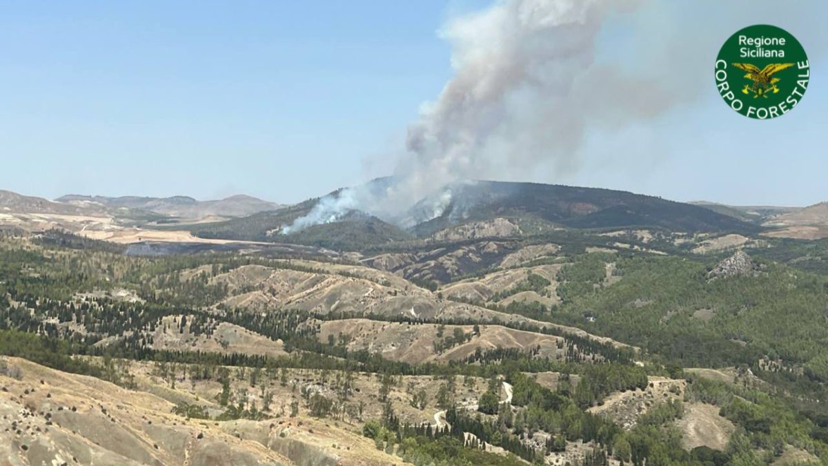 Incendi in Sicilia, 83 quelli registrati oggi: gli interventi del Corpo forestale e della Protezione civile