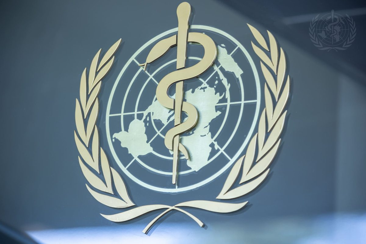 Il vaiolo delle scimmie arriva in Italia, segnalato il primo caso legato al clade Ib