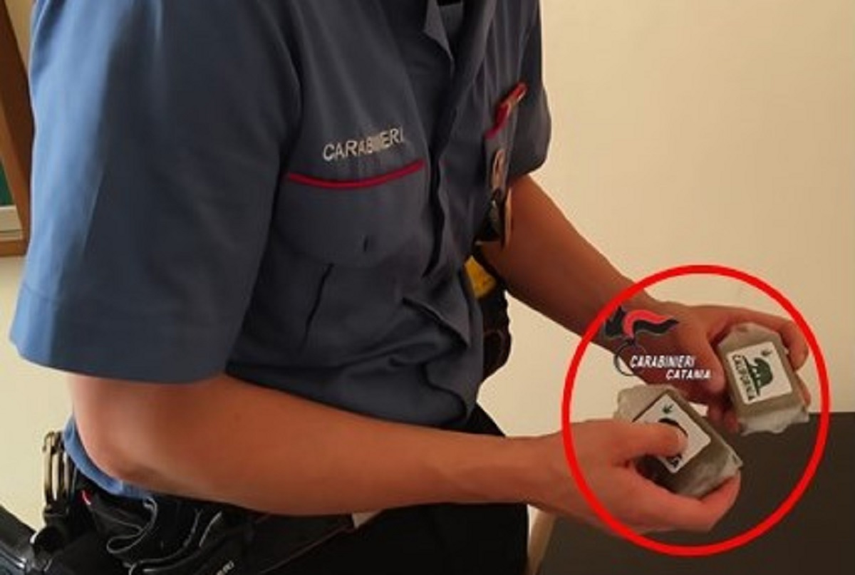 Spaccio nei parcheggi a Catania: arrestati due 19enni con oltre 300 grammi di hashish