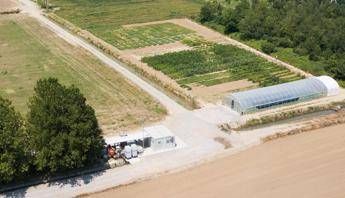 Agricoltura, MartinoRossi in campo per innovazione sostenibile con progetti sperimentali Agricoltura, MartinoRossi in campo per innovazione sostenibile con progetti sperimentali