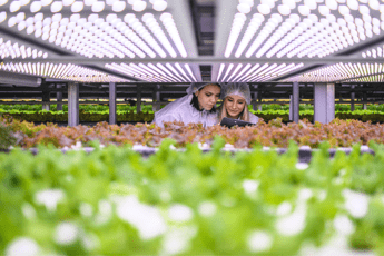 AgriMercati Ismea, positiva la congiuntura nel primo trimestre 2025