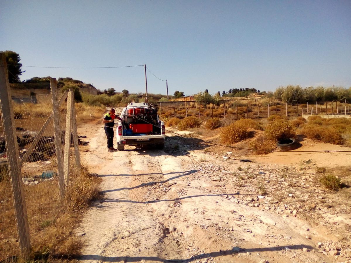 Incendi in Sicilia, giornata di fuoco: tredici roghi domati in un solo giorno