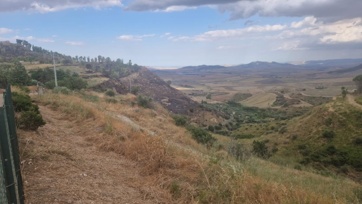 Morgantina, incendio nel Parco Archeologico: 15 ettari in fiamme