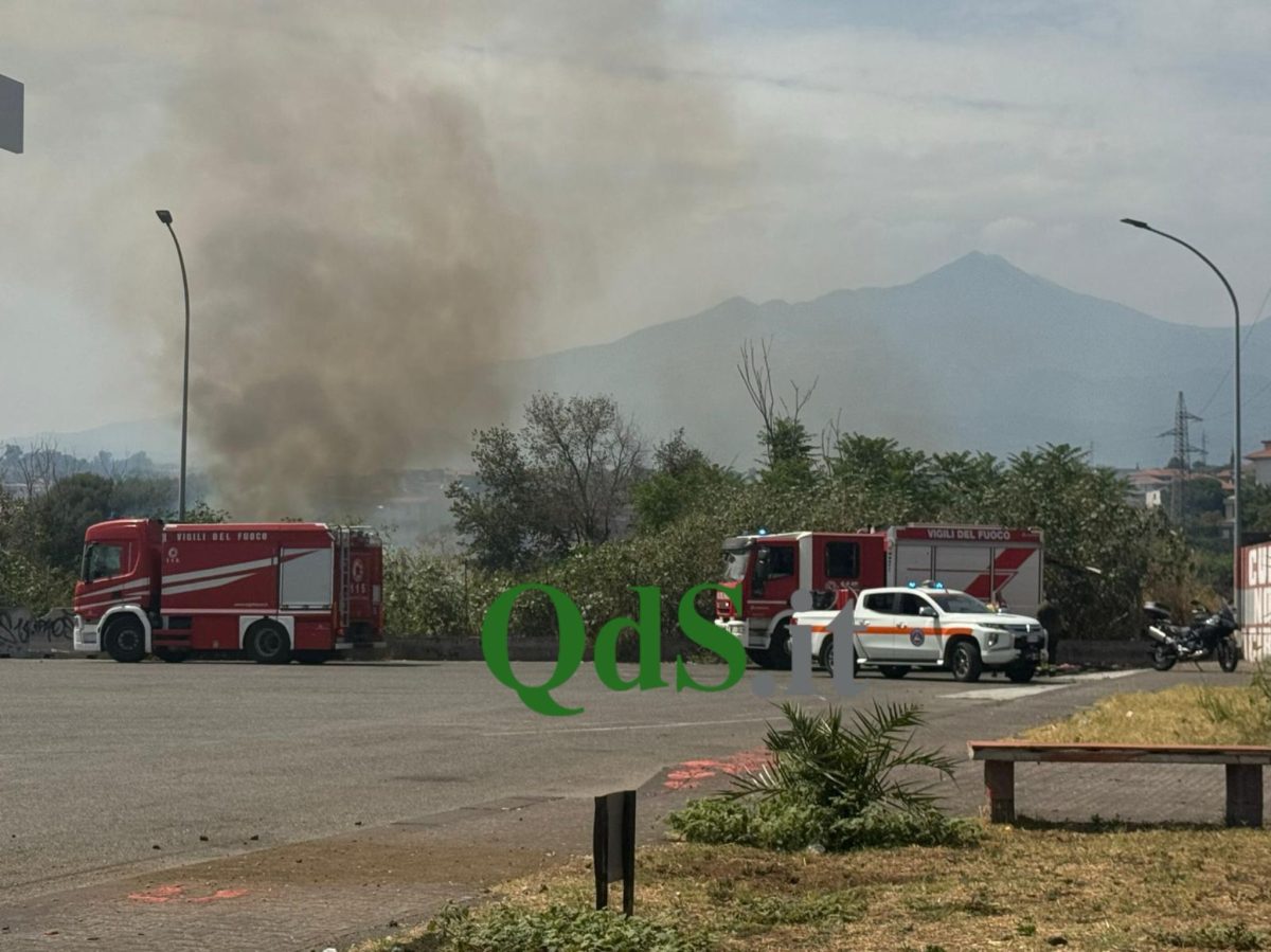 Sicilia in fiamme, il Codacons chiede il commissariamento: “Regione impreparata, intervenga lo Stato”