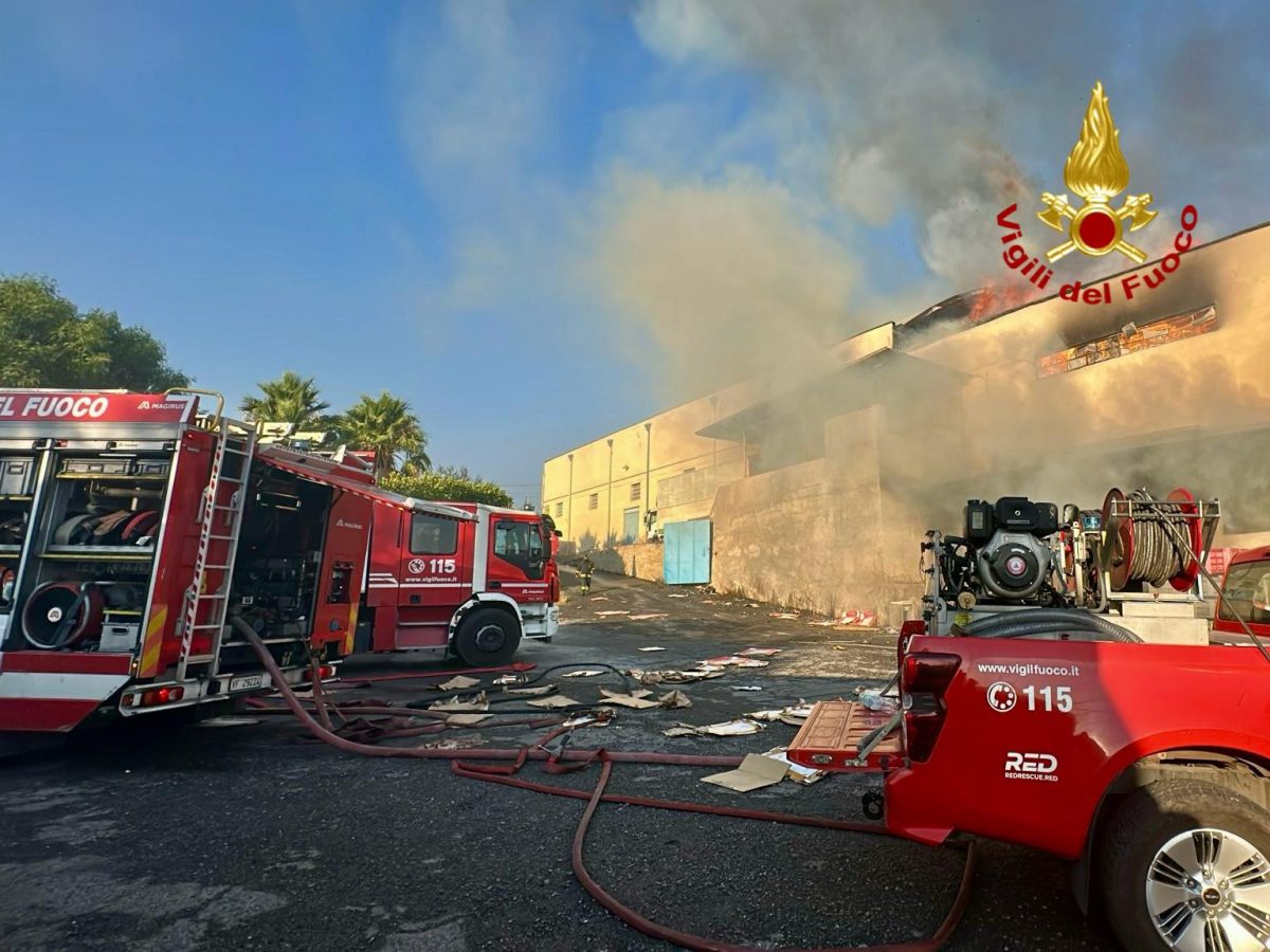 Galleria foto 'FOTO | Paura a Paternò, un incendio devasta due capannoni' - foto 3