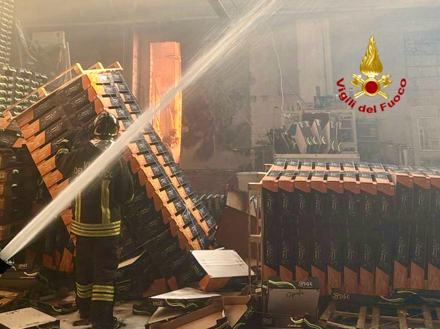 FOTO | Paura a Paternò, un incendio devasta due capannoni