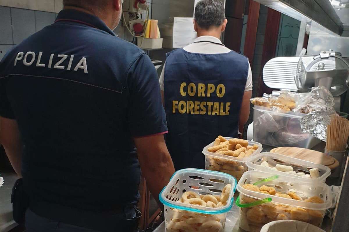 Irregolarità, prodotti scaduti e capelli tra brioches e cornetti in un chiosco di Biancavilla: pioggia di sanzioni