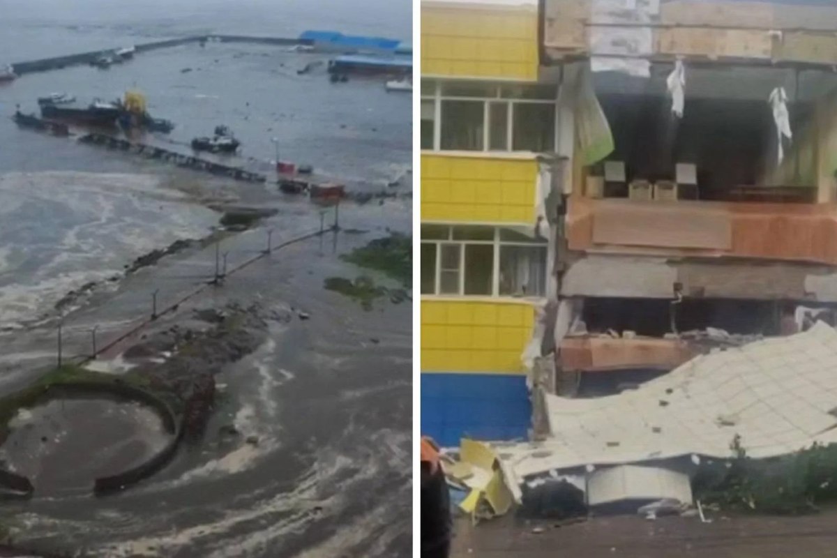 VIDEO | Allerta tsunami in tutto il Pacifico, onde alte 5 metri e balene arenate: le terribili immagini