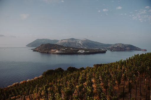 Vino, Tenuta di Castellaro: nuova offerta enoturistica nelle Eolie