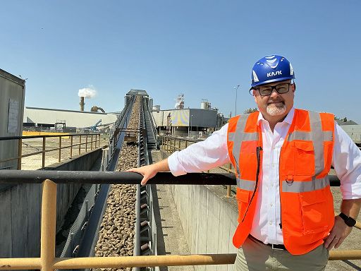 Zucchero, Coprob Italia: decolla il biologico, bene il convenzionale