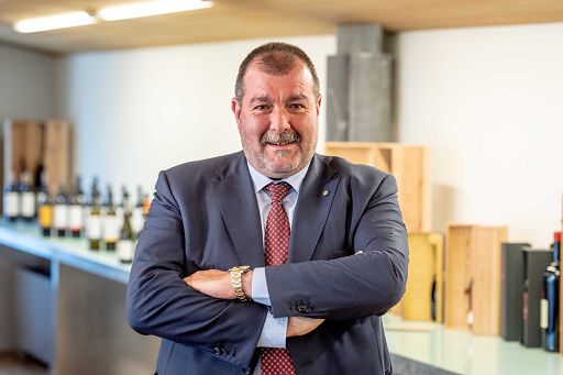 Pinot Grigio Doc Delle Venezie: prorogato blocco nuove superfici vitate