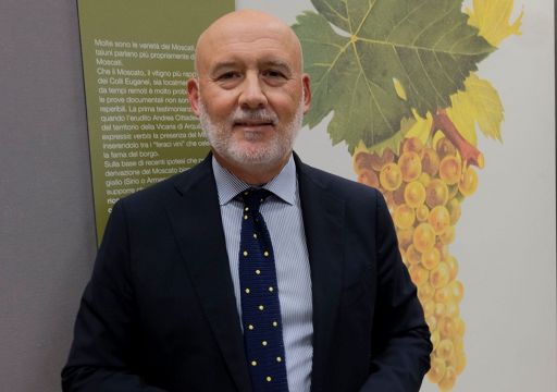 Dazi vino, Cons. Colli Euganei: in zone più fragili bioversità a rischio