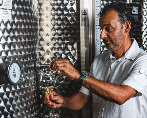 Castello Bonomi: vendemmia è partita con piede giusto, grande qualità