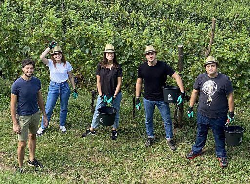 In Friuli Venezia Giulia vendemmia aperta al turismo in nove Cantine