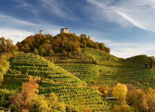 Vino, Follador Prosecco dal 1769 ottiene la certificazione Equalitas