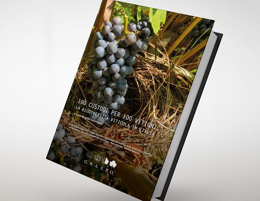 Il libro “100 custodi per 100 vitigni” vince l’Award 2025 dell’Oiv