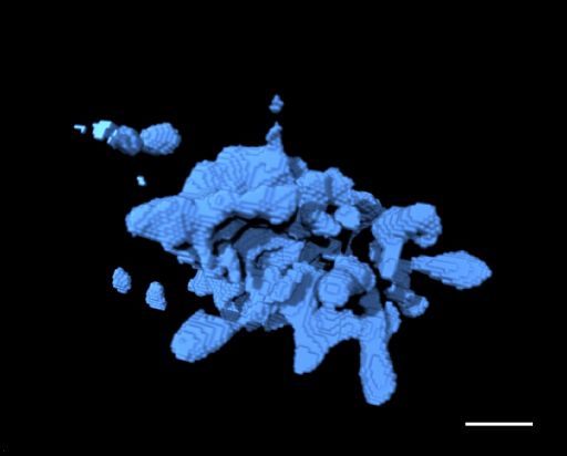 Ricerca, Cnr: immagini 3D e nanoscala per capire eruzioni vulcani