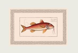 Rai Libri: esce “Amo le triglie di scoglio. Andrea Camilleri si racconta”