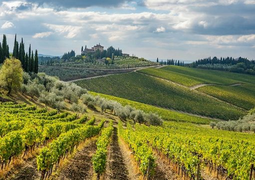 Vino, “CamperDays” propone sette itinerari enoturistici in Europa