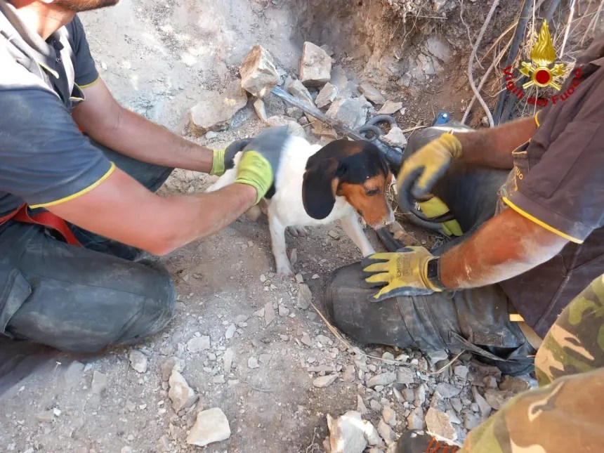 Salvataggio cane a Castellammare del Golfo