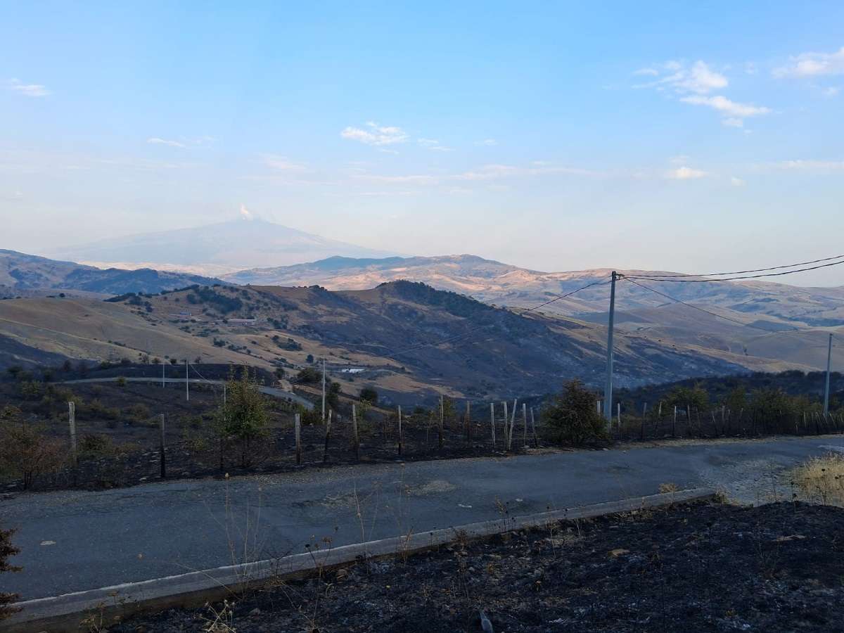 Incendio a Cesarò: fiamme devastano aziende agricole, il sindaco chiede un tavolo tecnico urgente