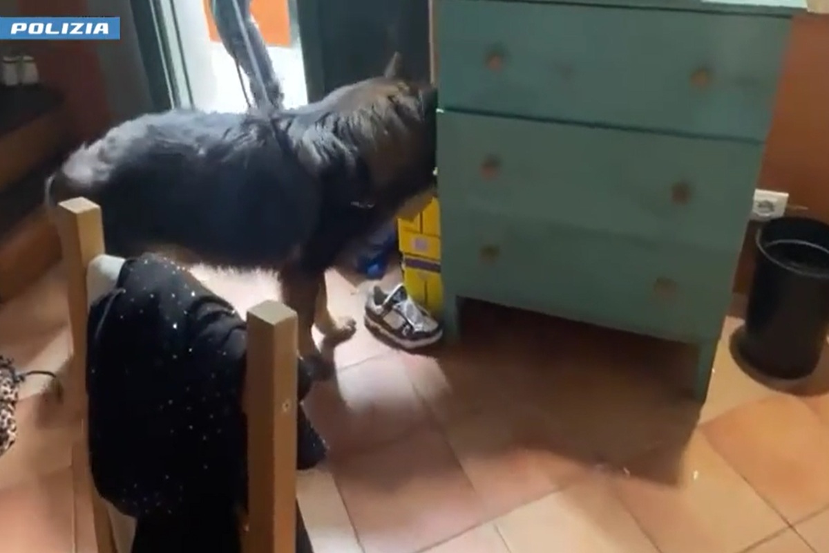 VIDEO | Viveva col figlio di un anno e smerciava droga in casa: 21enne arrestata a Catania