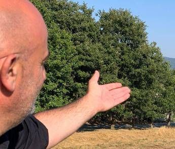 Ferragosto, Grillo (Turismo Verde-Cia): “Tra natura, relax e buon cibo sold out agriturismi”