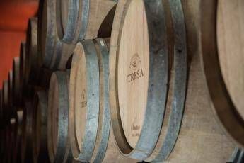 Vino: con Santa Tresa torna in etichetta il vitigno siciliano ‘scomparso’ Orisi