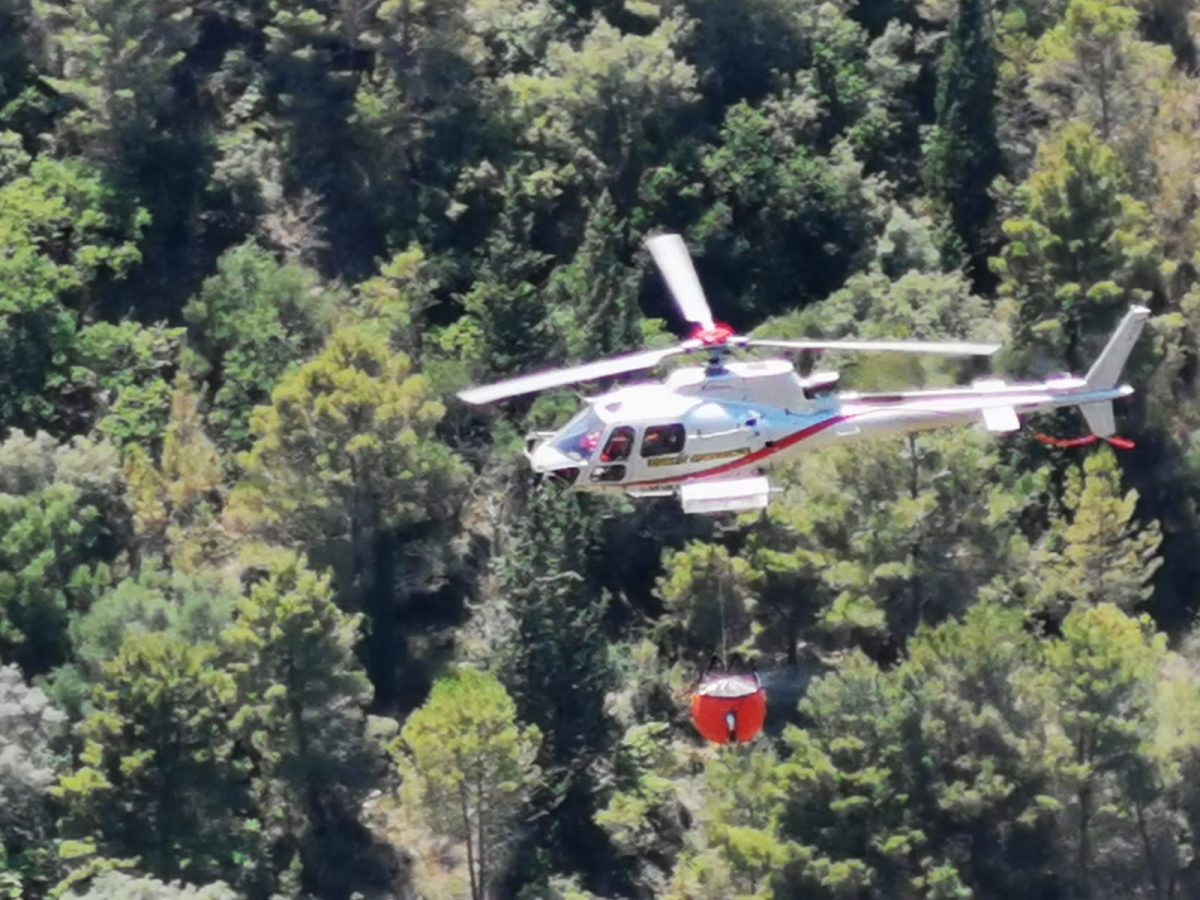 Allarme incendi in Sicilia, i mostruosi numeri: quasi 4000 roghi in tre mesi
