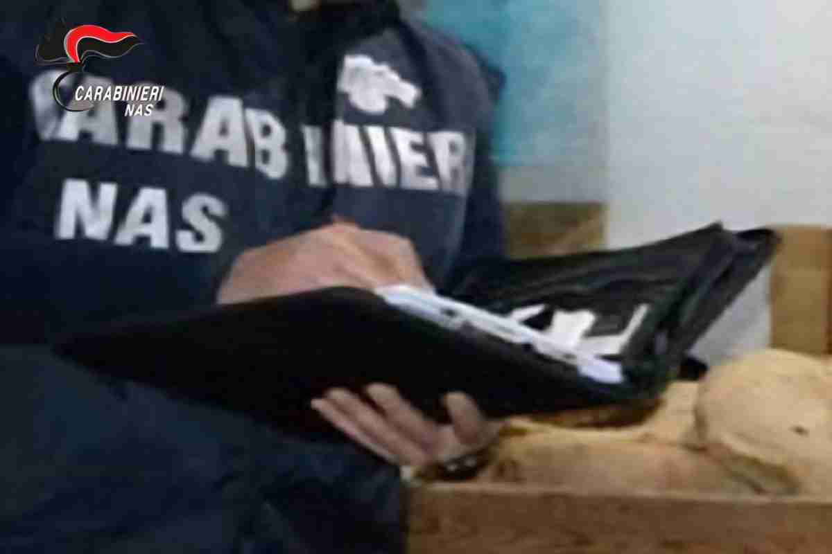 Controlli dei Nas tra Catania, Enna e Messina: disposte chiusure e sequestri, multe da 50.000 euro