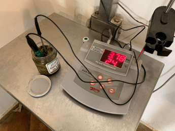 Botulino, Grillo (Turismo Verde-Cia): “Aceto e misura ph, ecco come conservare gli alimenti in sicurezza”