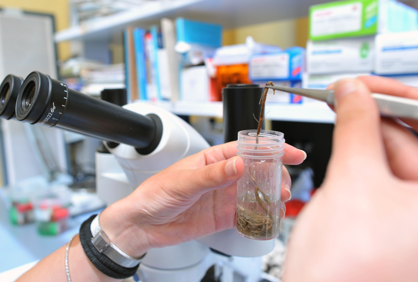 Balneazione: ecco i voti ai mari dell’Isola tra molte eccellenze e qualche pecora nera