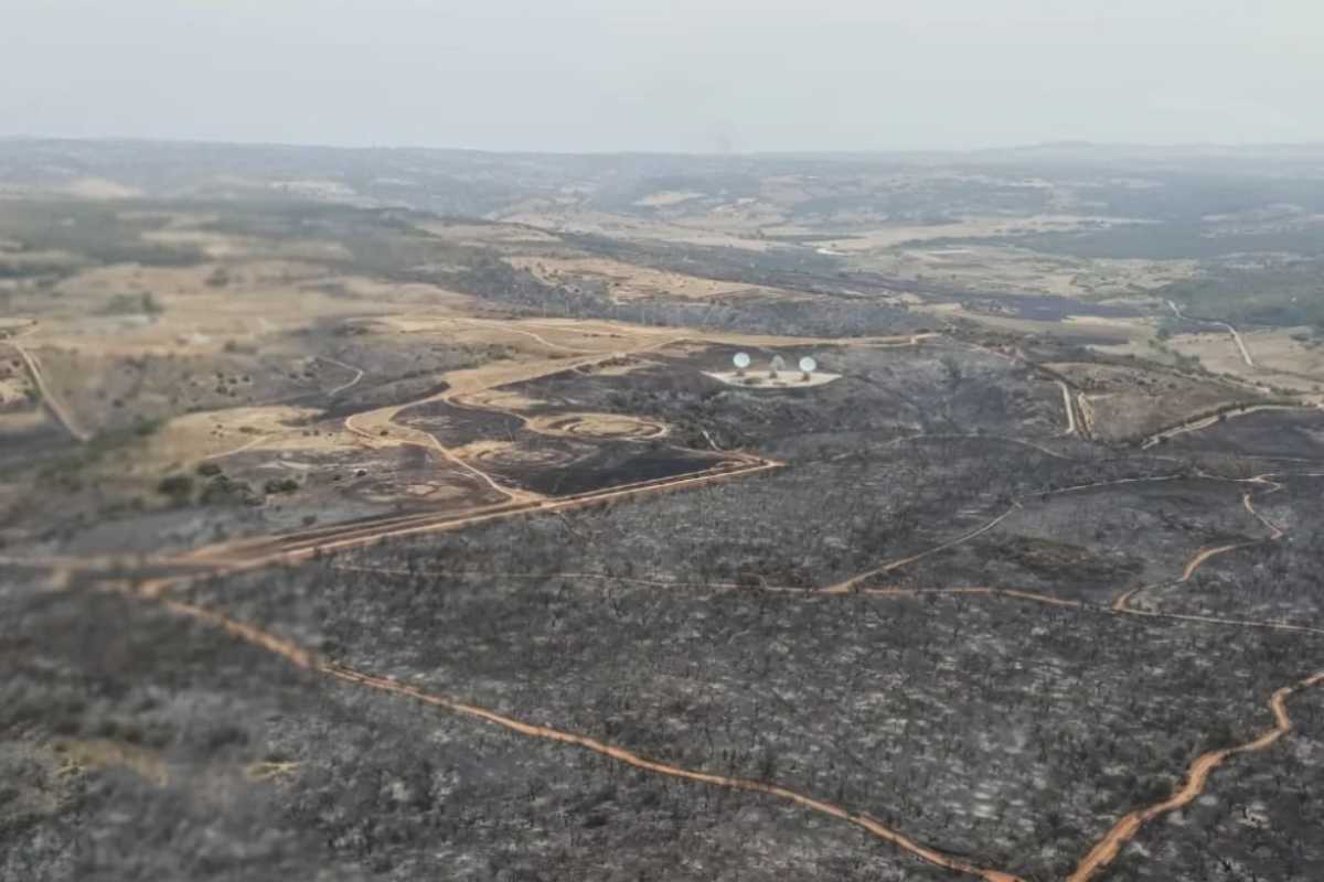 Sughereta Niscemi, gli attivisti scrivono al sindaco: “Dopo l’incendio serve impegno condiviso”