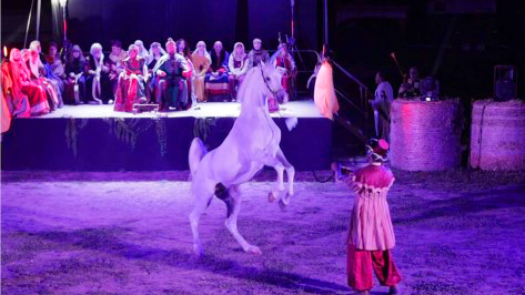 Piana degli albanesi, sabato 20 spettacolo di teatro equestre sulla cultura normanna