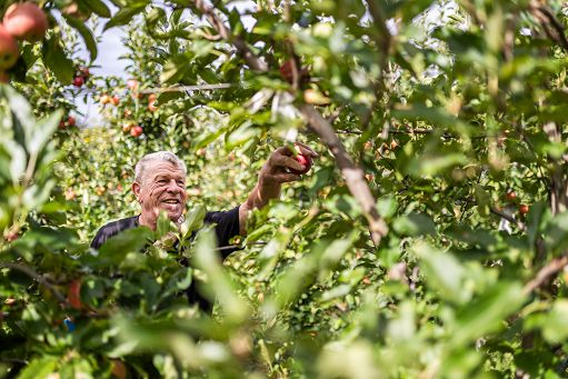 Mele, VOG: segnali positivi da estero ma riferimento è mercato interno