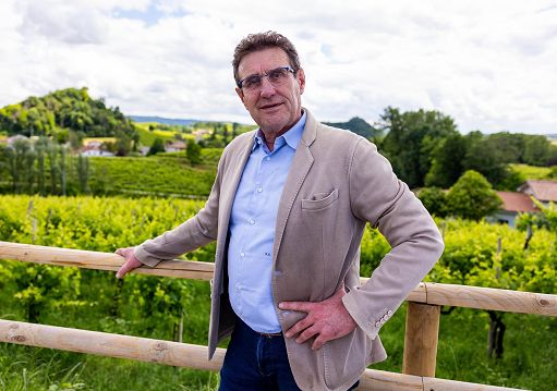 Vino, Cons. Conegliano Valdobbiadene: ottime prospettive per annata 2025