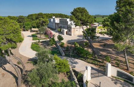 Vino, Tommasi acquisisce Tenuta Eméra e Cantina Moros in Puglia